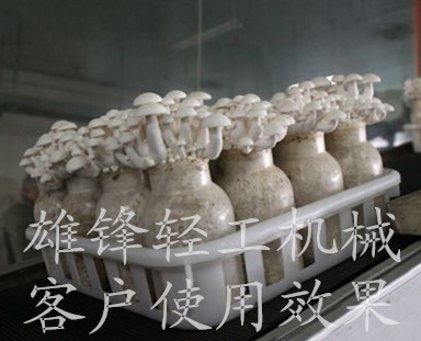 1100ml金针菇栽培瓶